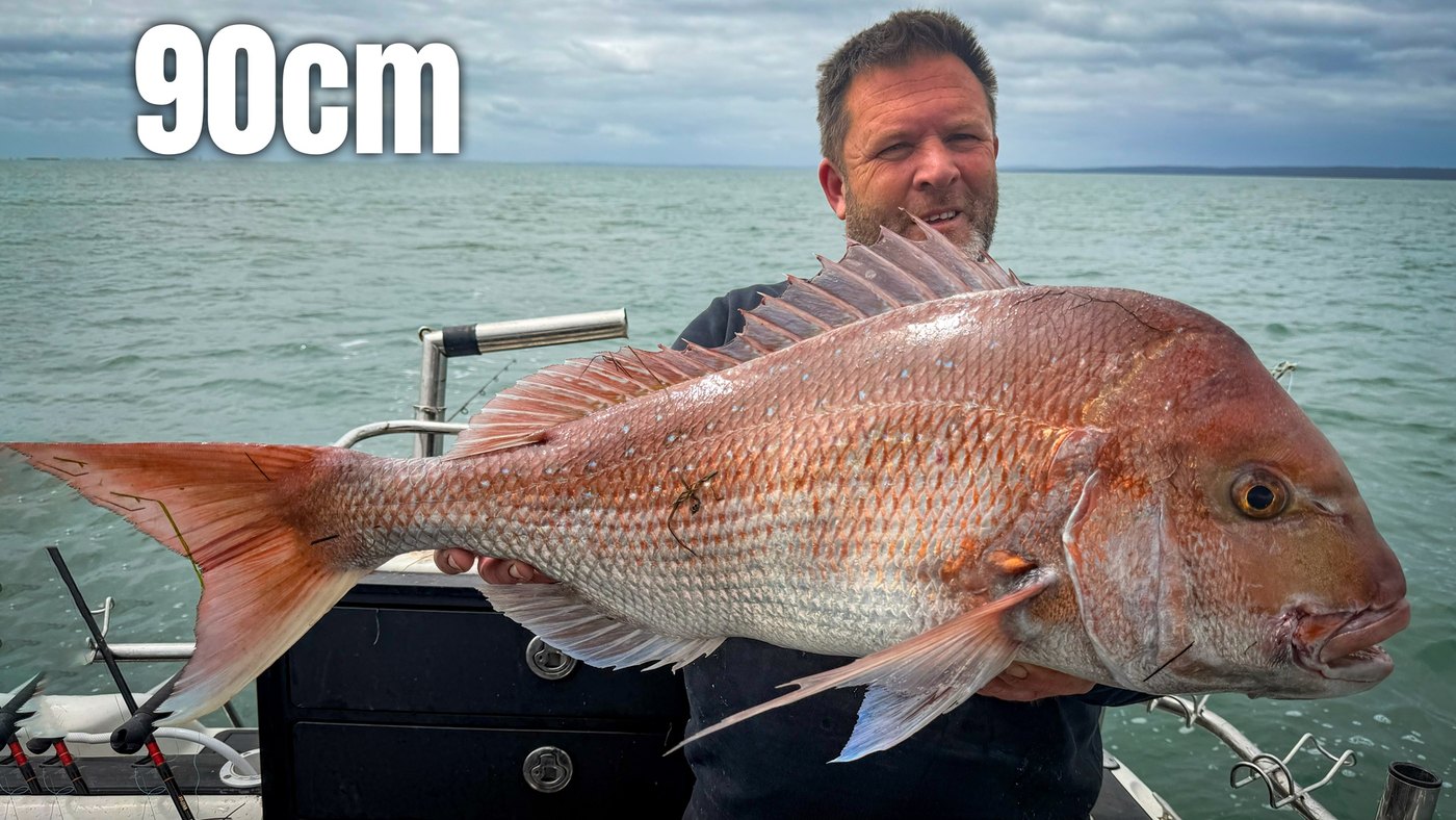 90cm snapper caught in Port Phillip Bay by Reedy's Rigs