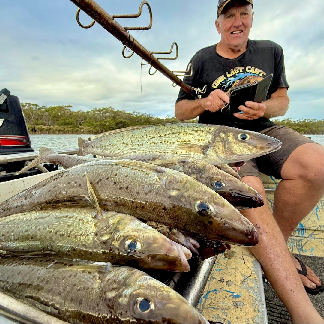 Stack of King George Whiting on the deck, Western Port
